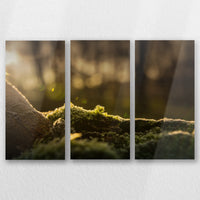 AL-060R040