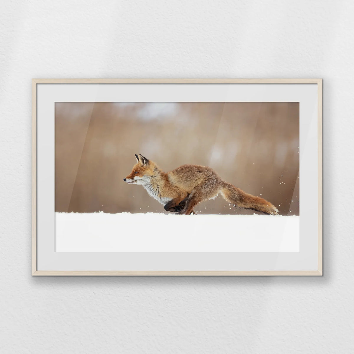 PNP100W070
