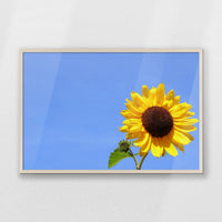 PN-093W062