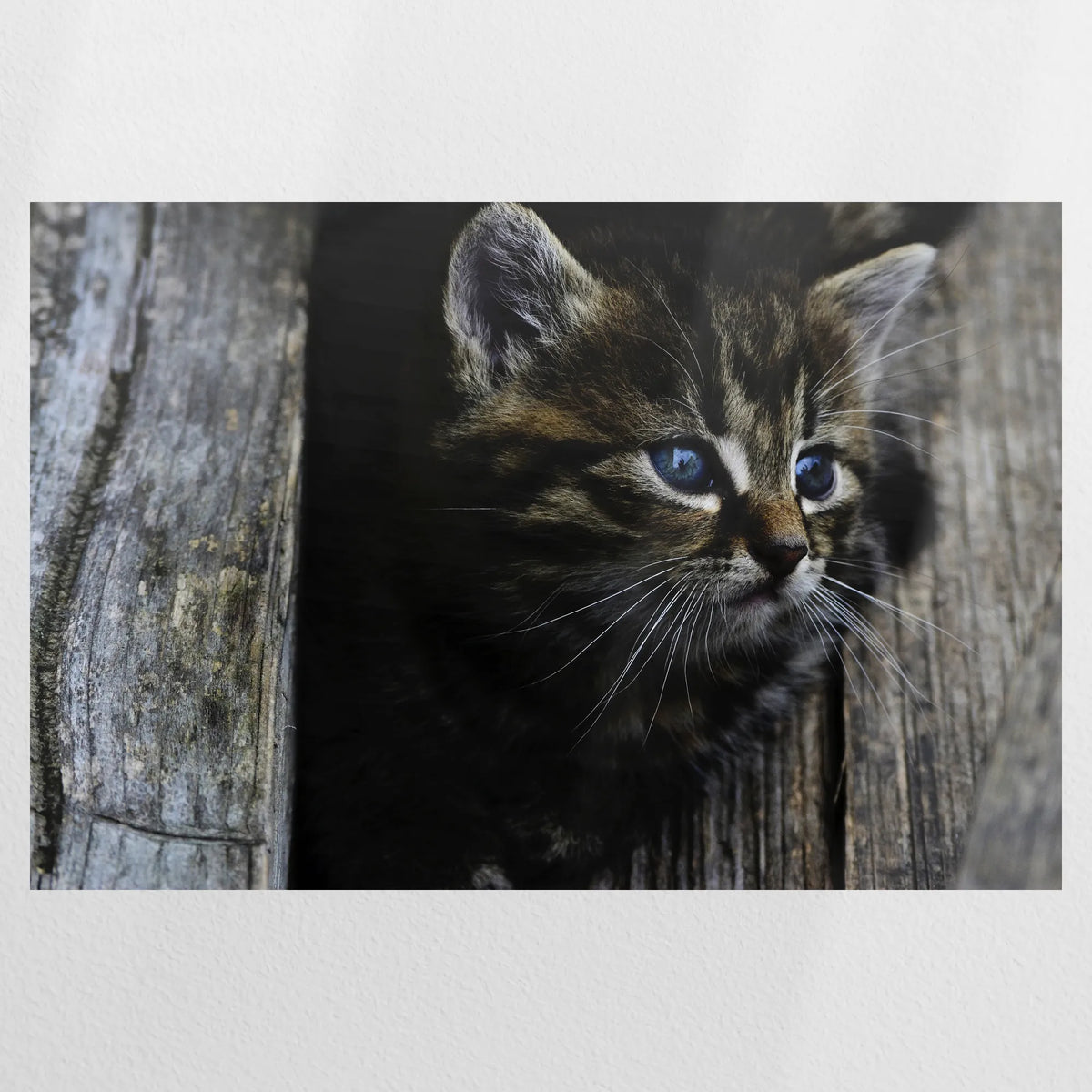 PO-120W080