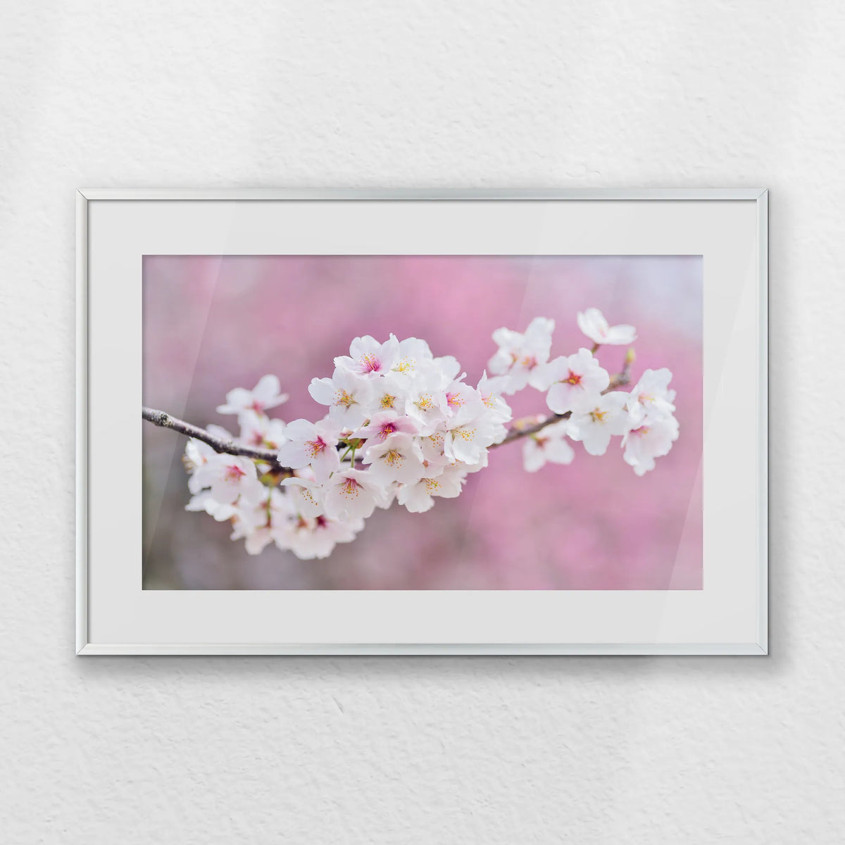 PSP060W040