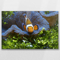 LW-075W050
