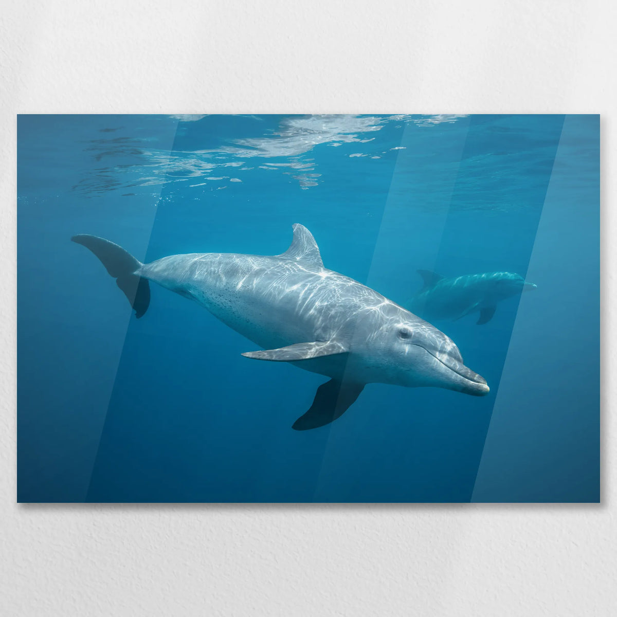AC-075W050
