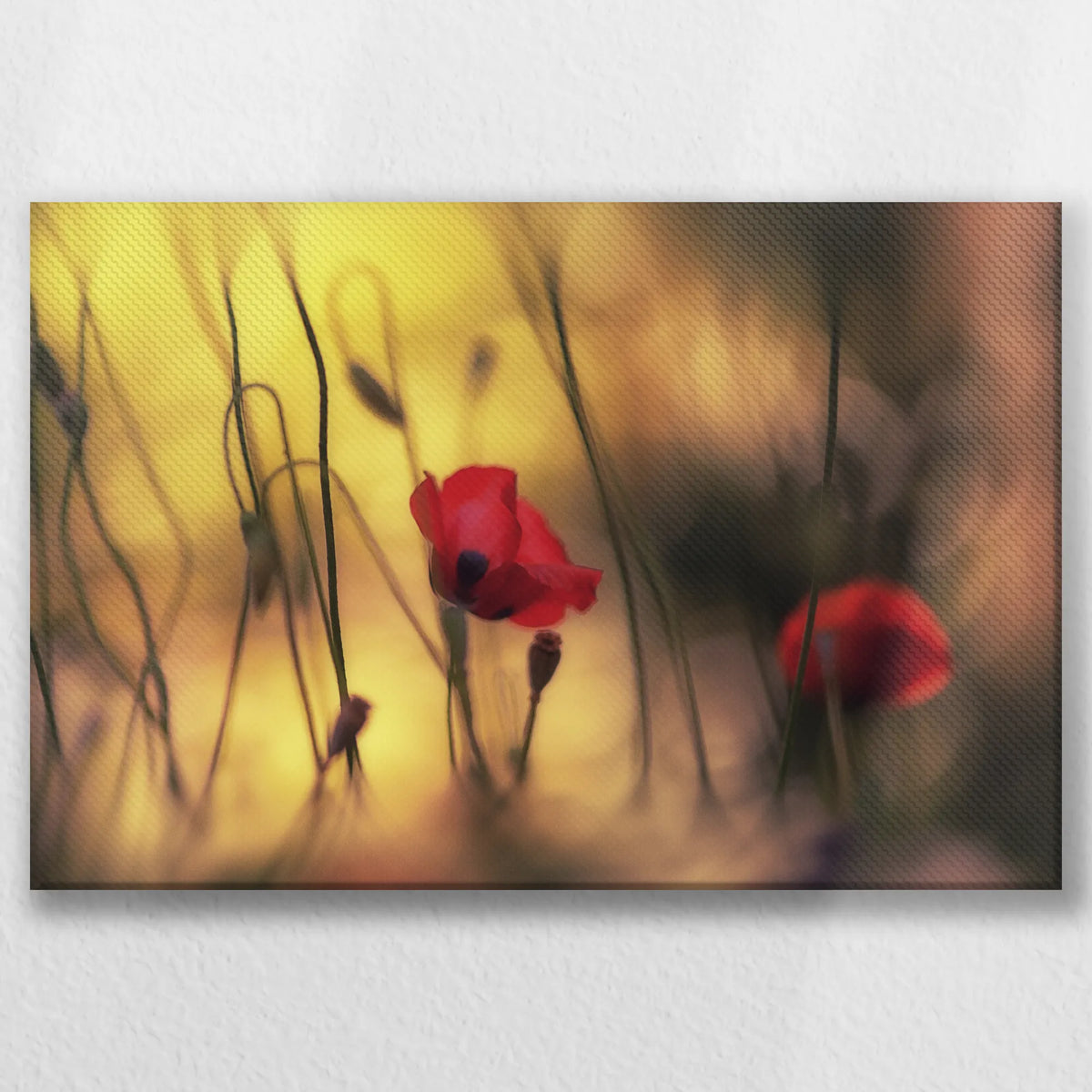 LW-030W020