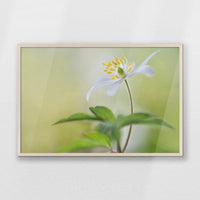 PN-093W062