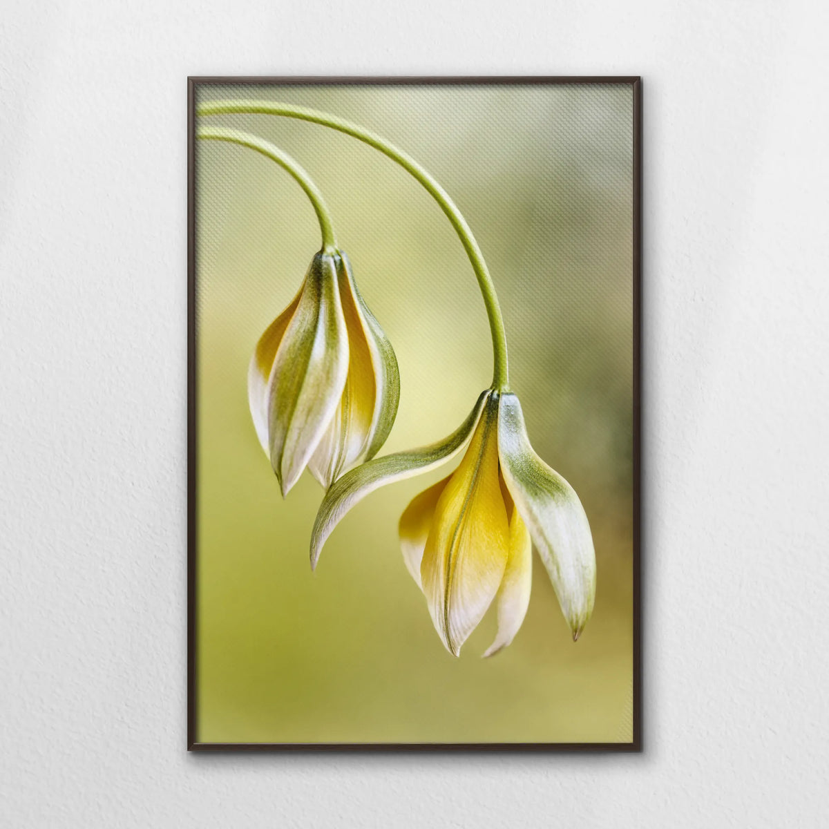 LWN080W120