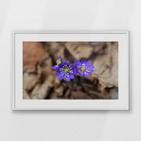 PWP093W062