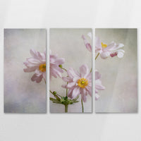 AL-150R100