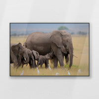 PB-120W080