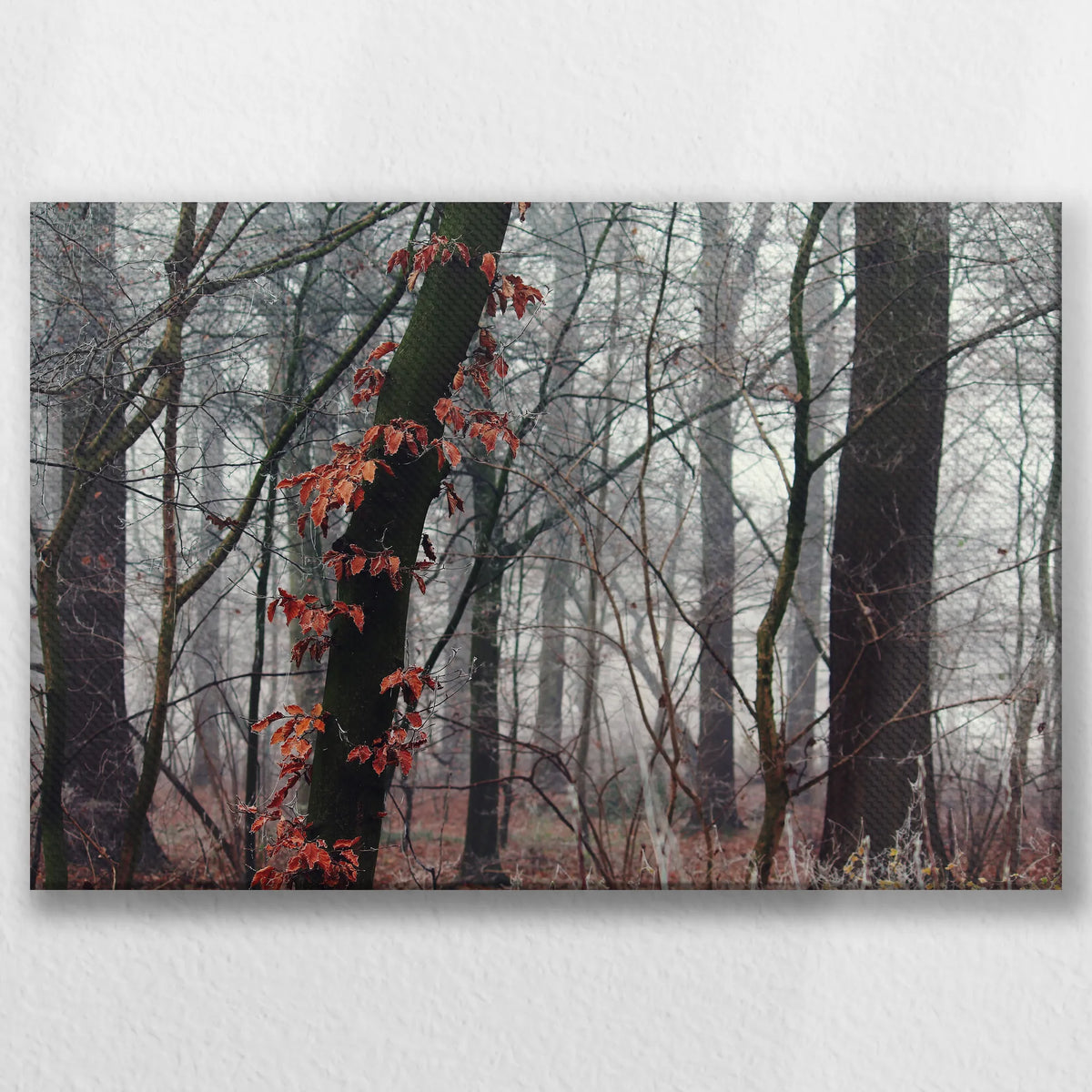LW-045W030
