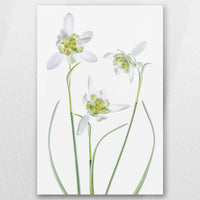 AC-030W045