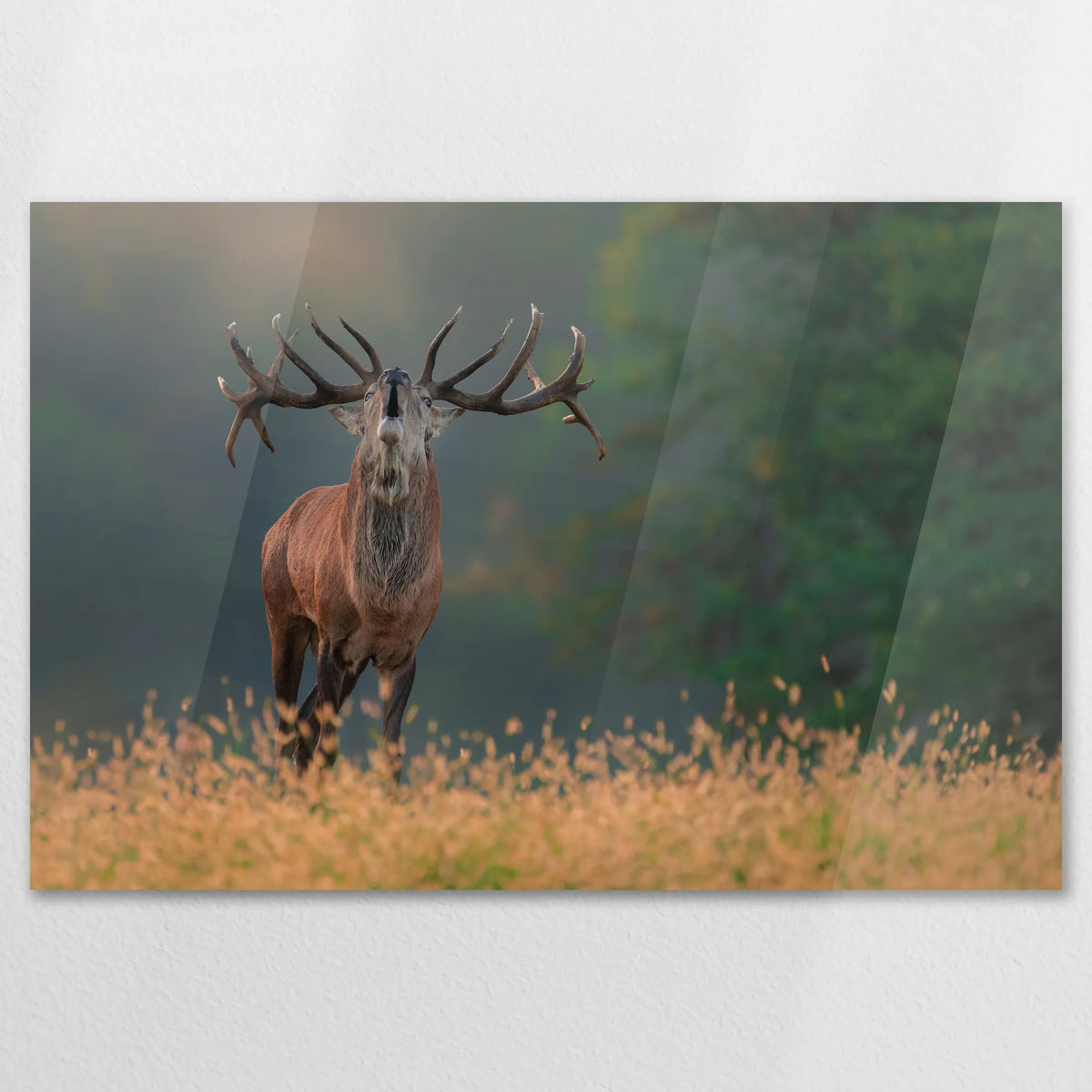 AC-120W080