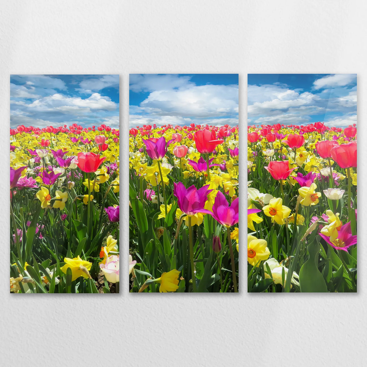 AC-150R100