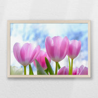 PN-060W040