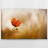 AL-045W030