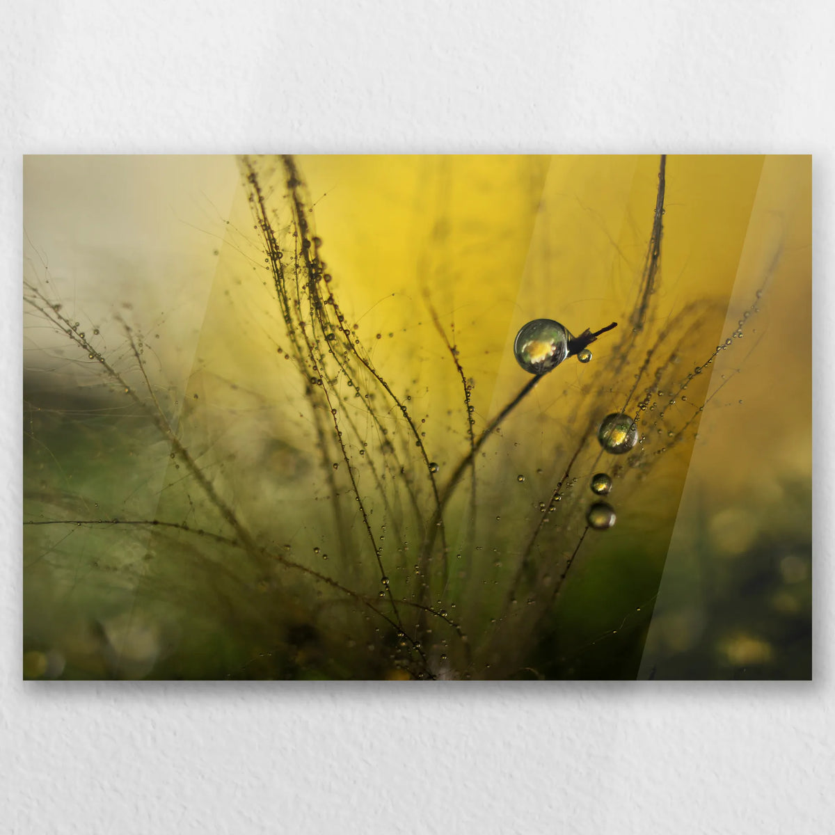 AC-045W030