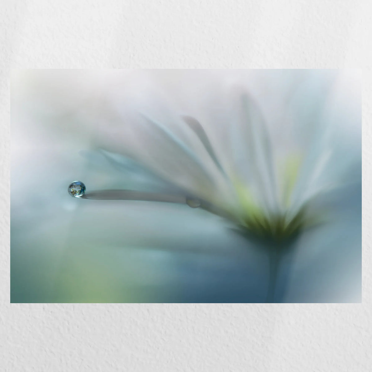 PO-030W020