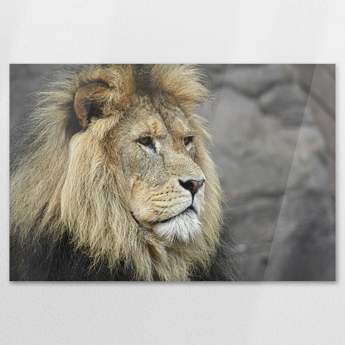 AC-120W080