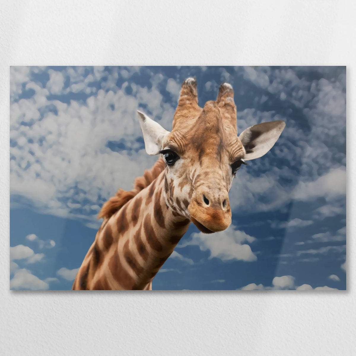 AL-075W050