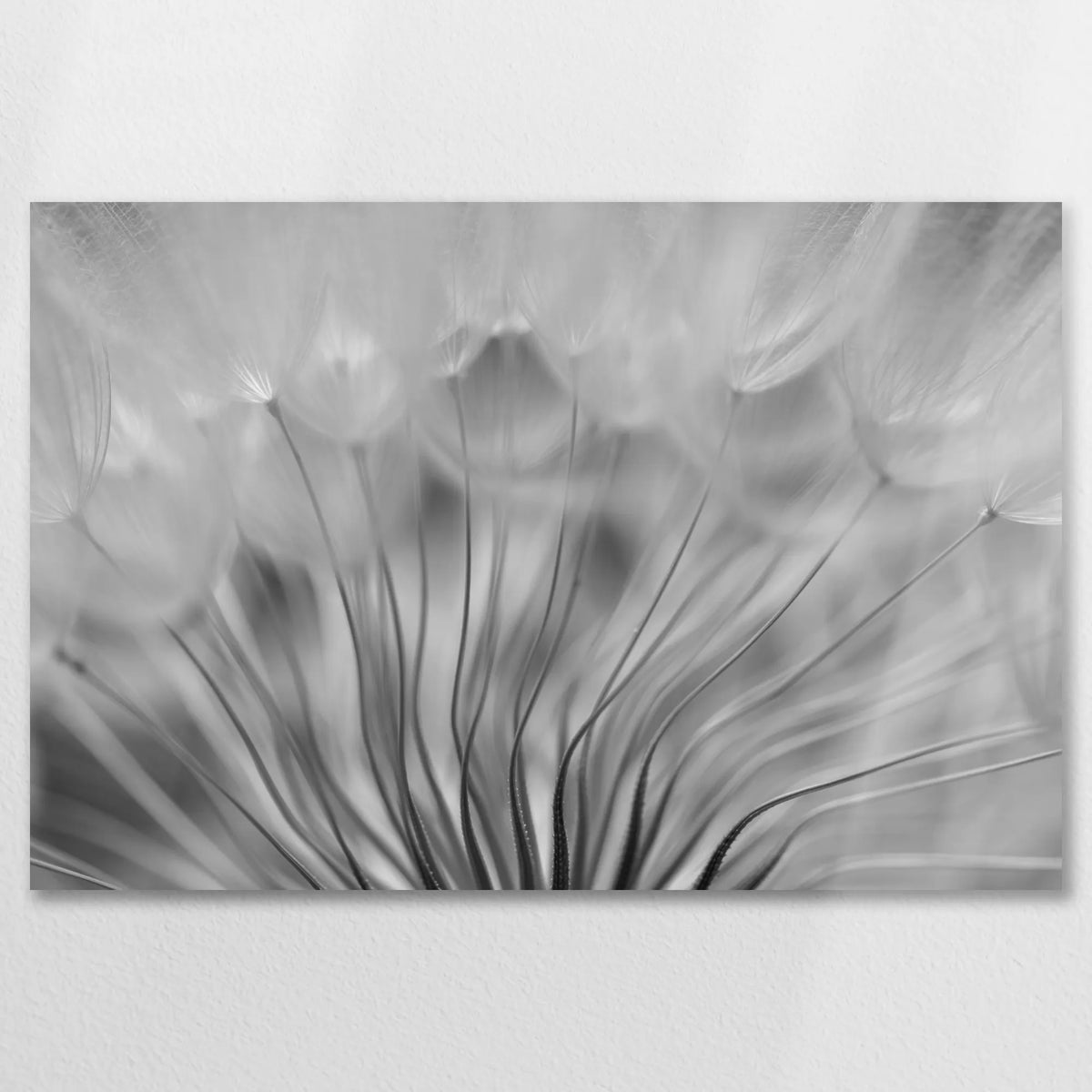 AL-075W050