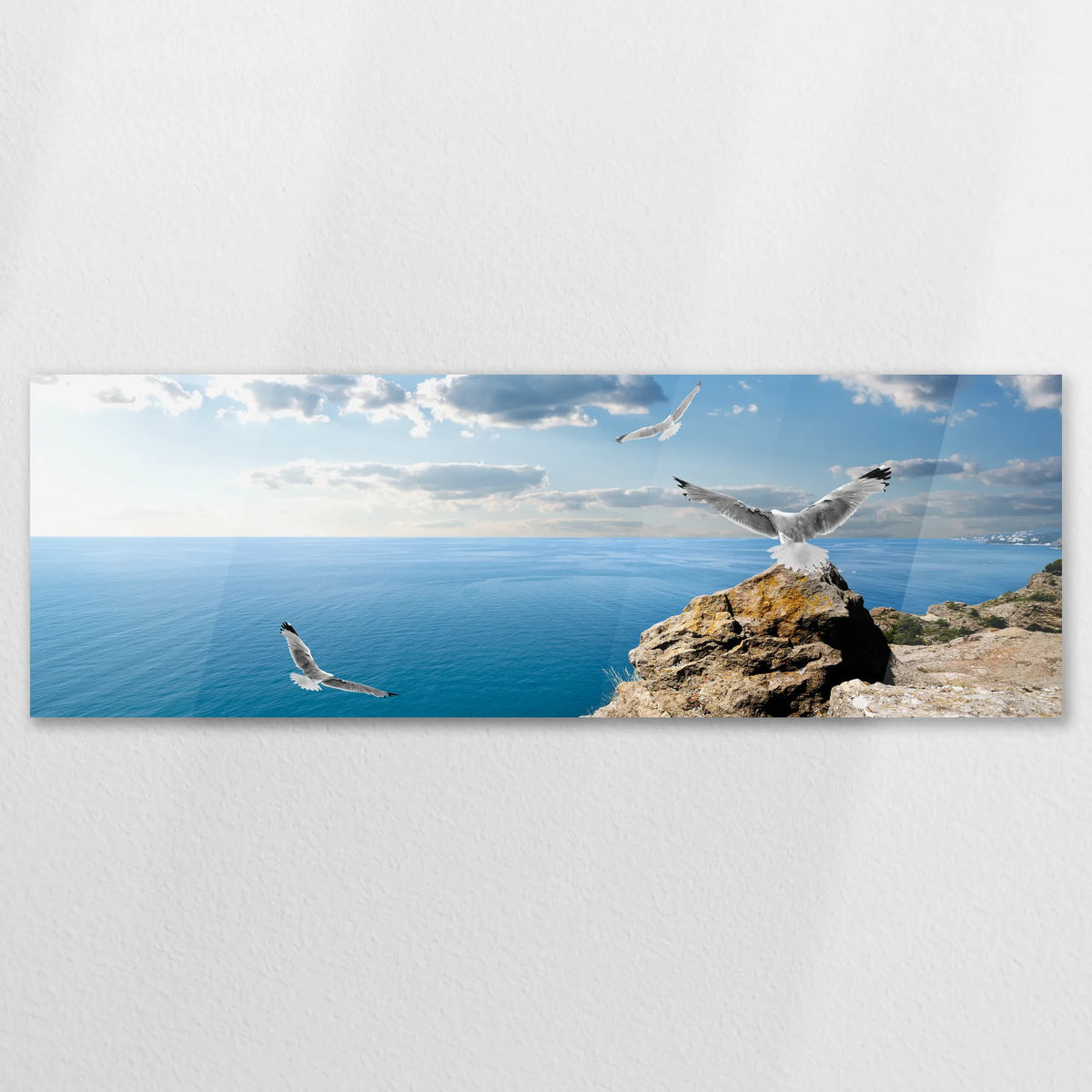 AC-150P050