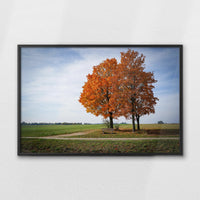 LWB100W070