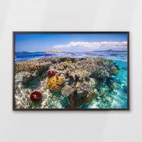 LWN100W070
