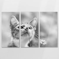AC-120R080