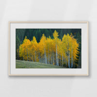 PNP093W062