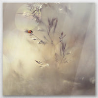 AL-040W040