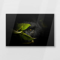 PB-120W080