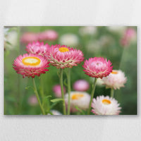 AL-045W030