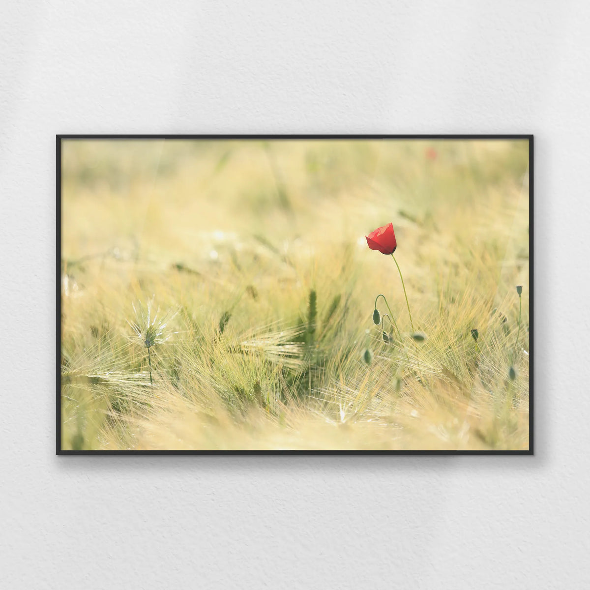 PB-093W062