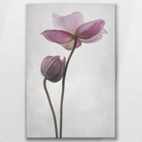 LW-080W120