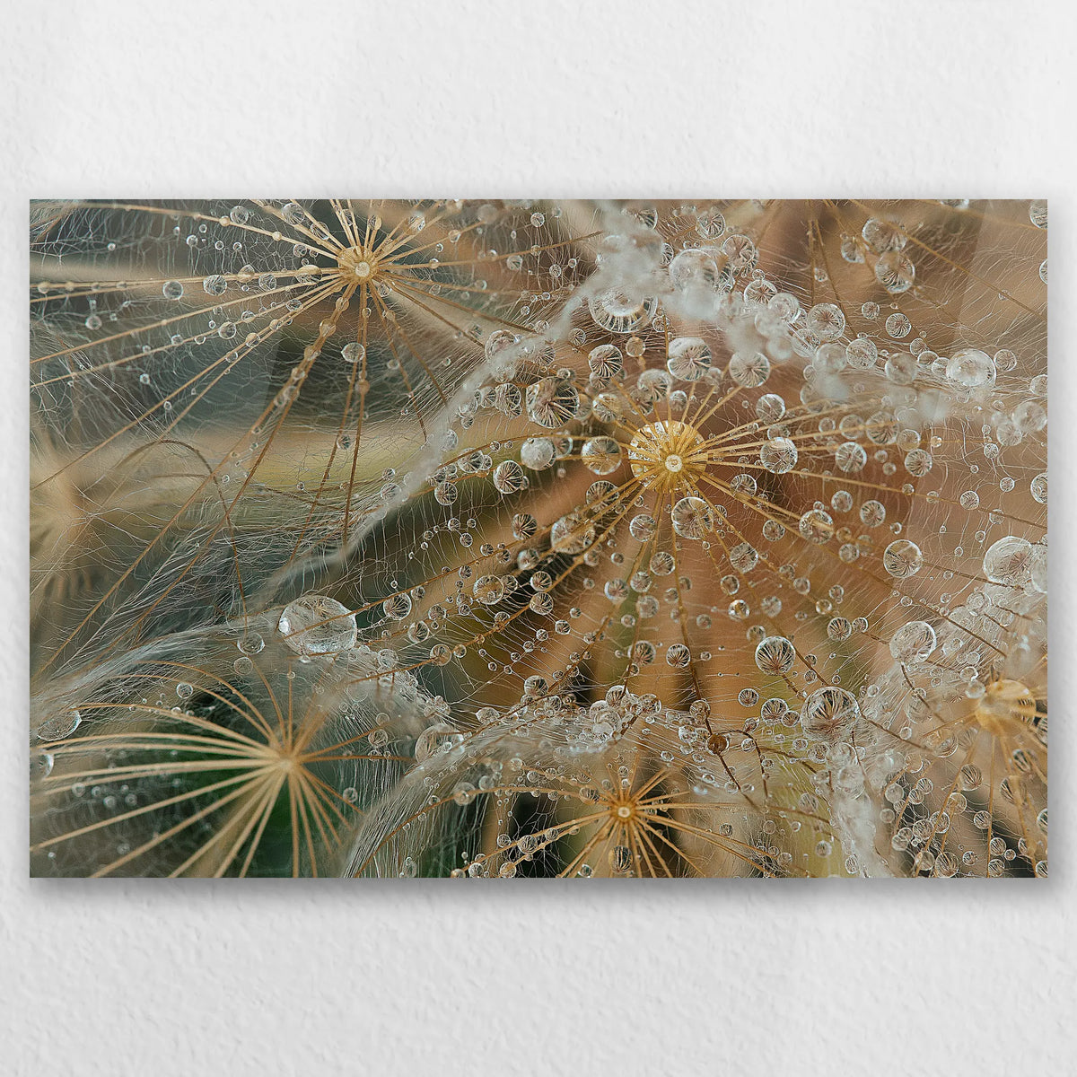 AC-030W020