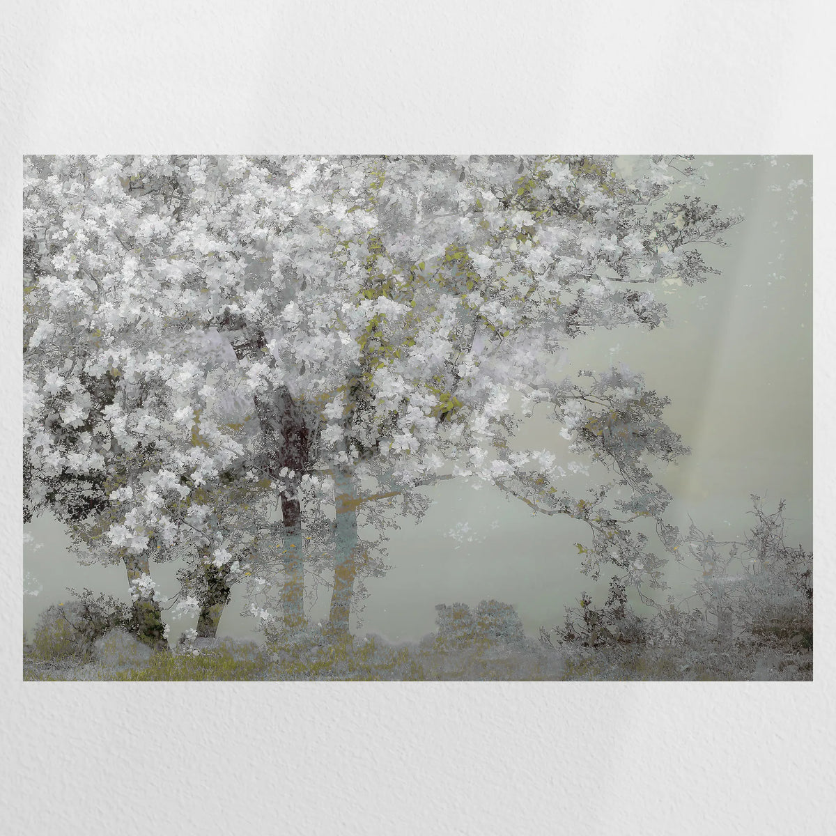PO-075W050