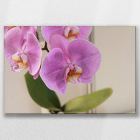 LW-060W040