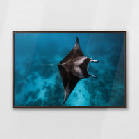 LWN100W070