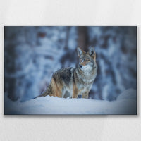 LW-090W060