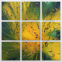 LW-210Z210