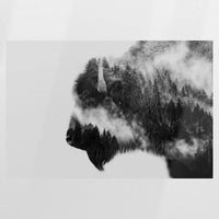 PO-075W050