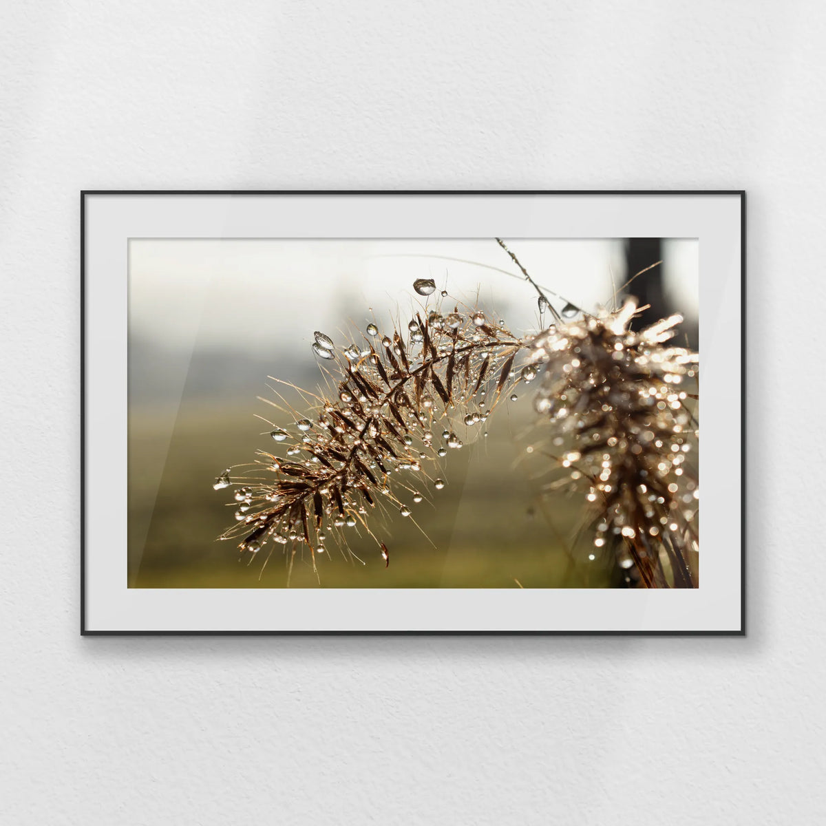 PBP120W080
