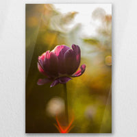 AC-040W060