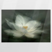 PO-075W050