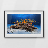 PKP100W070