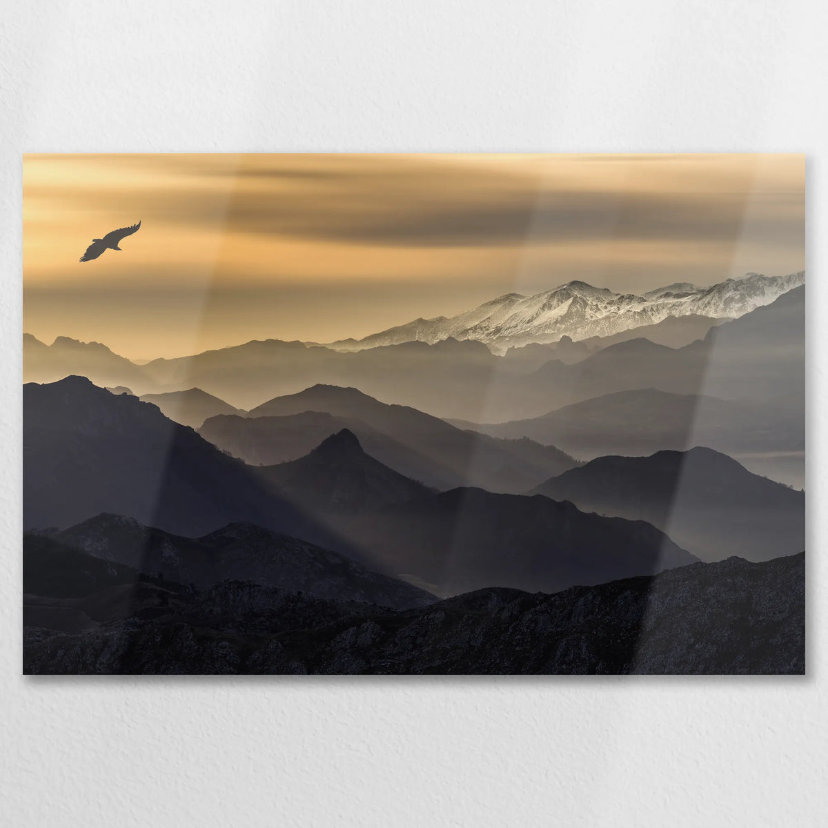 AL-075W050