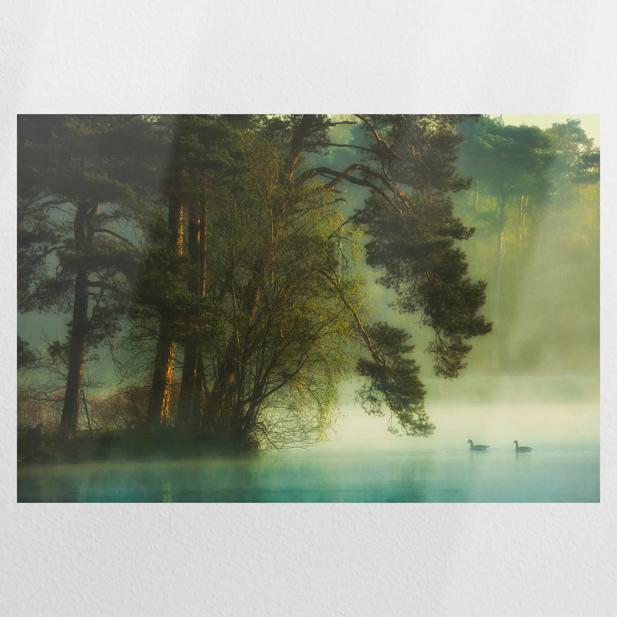 PO-120W080