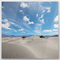 AL-050W050