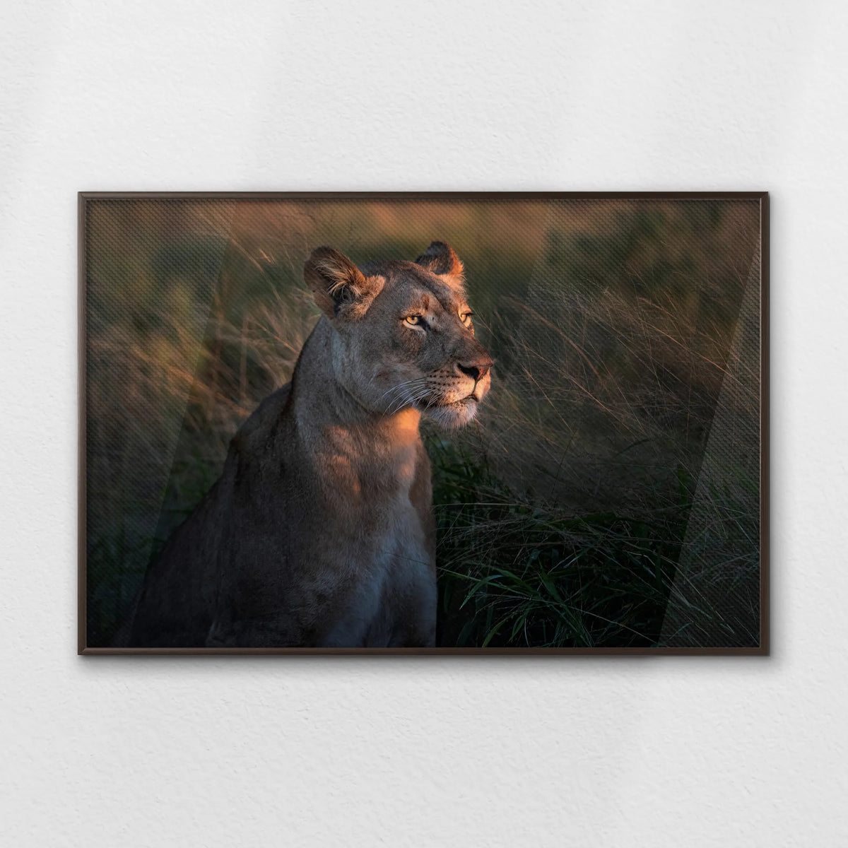 LWN120W080