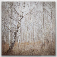 LW-080W080